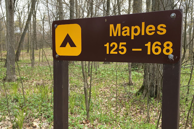 Presqu'ile Ontario Provincial Park, Maples Campground