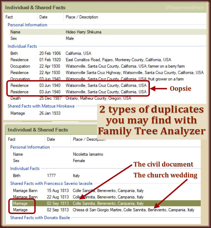 Fortify Your Family Tree Let Family Tree Analyzer Find Your Duplicates