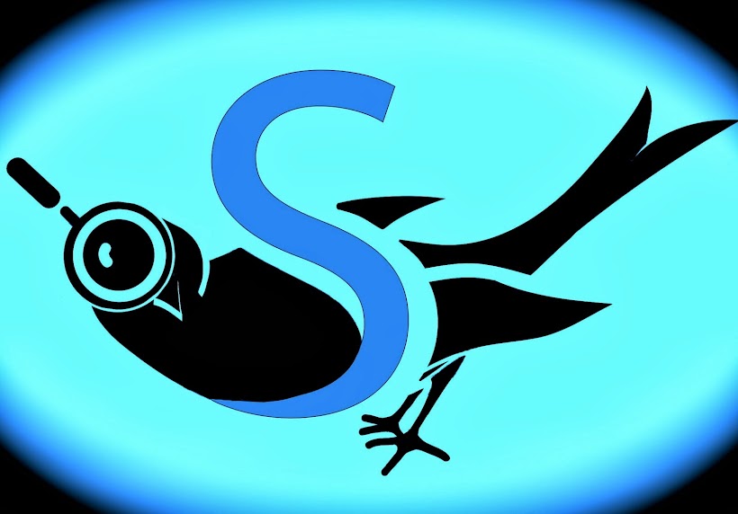 spybird travel