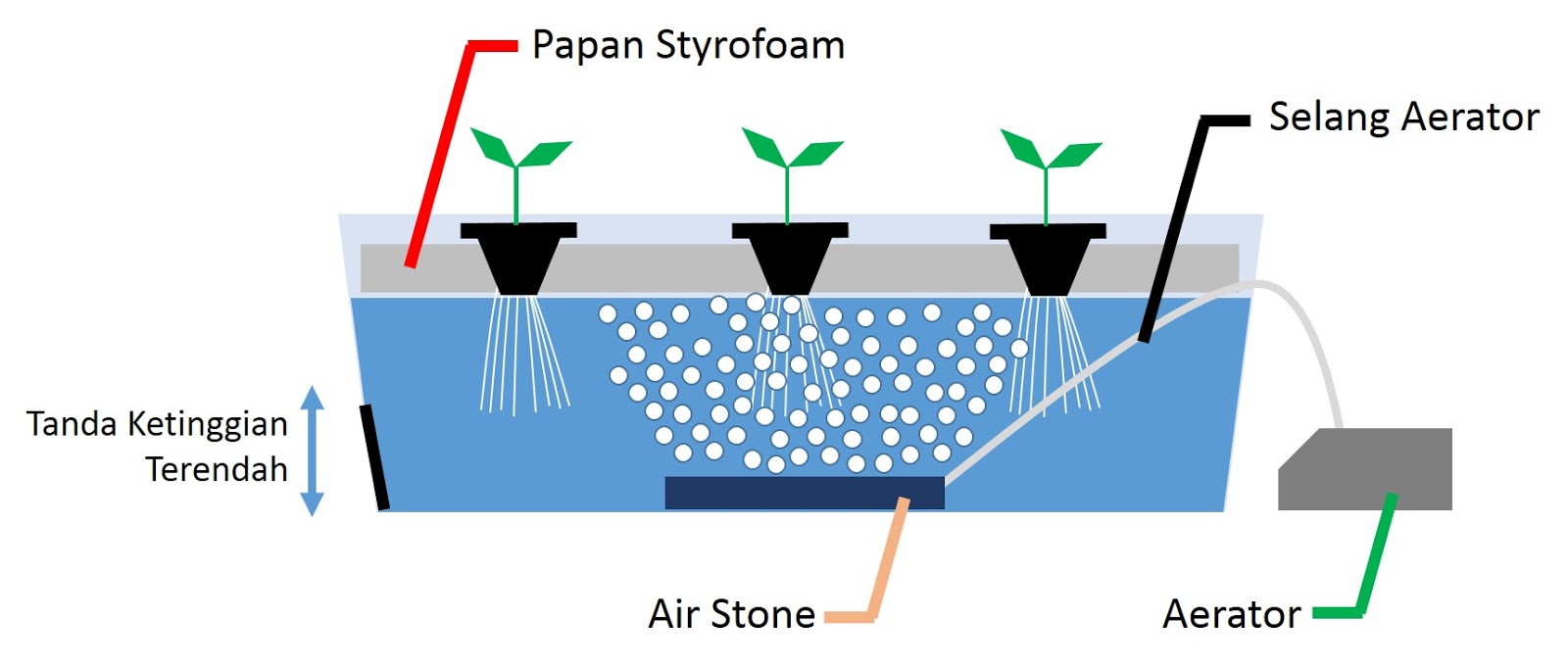 Cara bertanam hidroponik  sistem rakit apung untuk pemula 