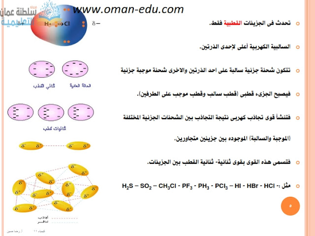 Https Shms Sa Editor Documents 59656