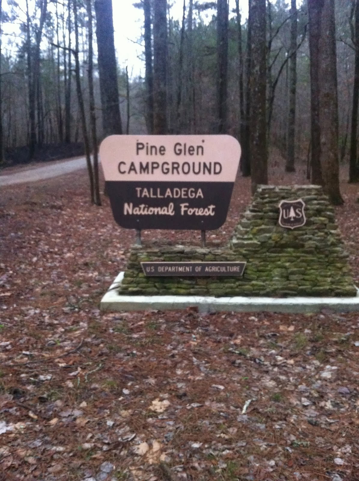 Our Fantastic Falcon Voyage Talladega National Forest Pine Glen