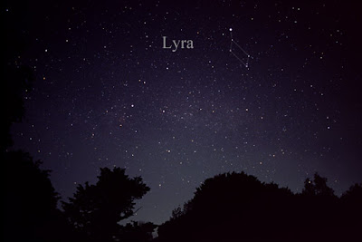 Starseeds from Lyra