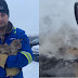 Homem encontra 3 gatos congelados, joga café quente em cima e eles ficam vivos