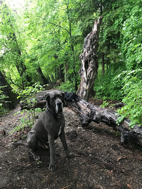 A B Verlagshaus Jaumann