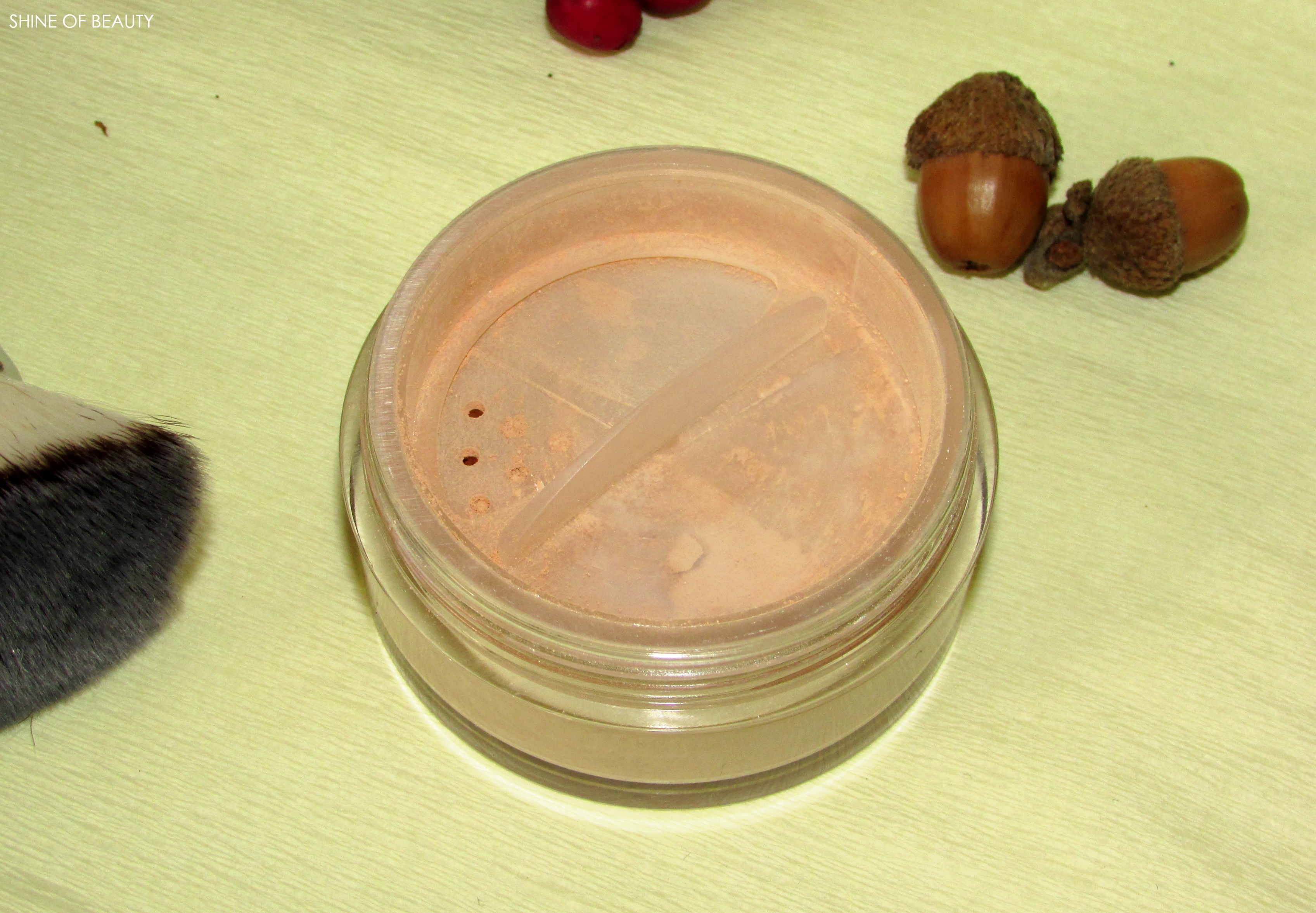 Gosh Mineral Powder Shine Of Beauty