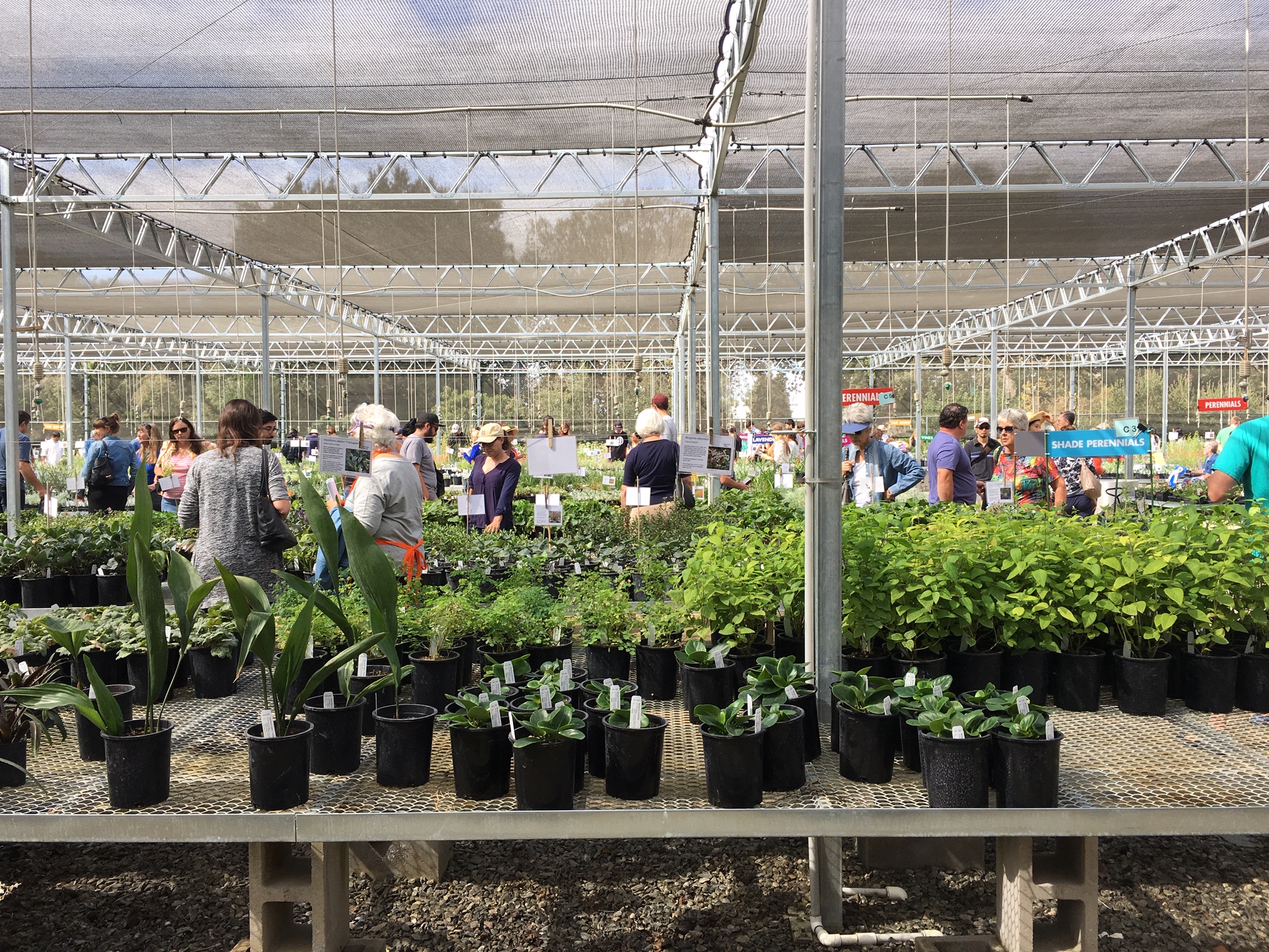 UC Davis Arboretum starts online plant sales