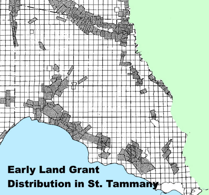 Tammany Family Land Grants Researched