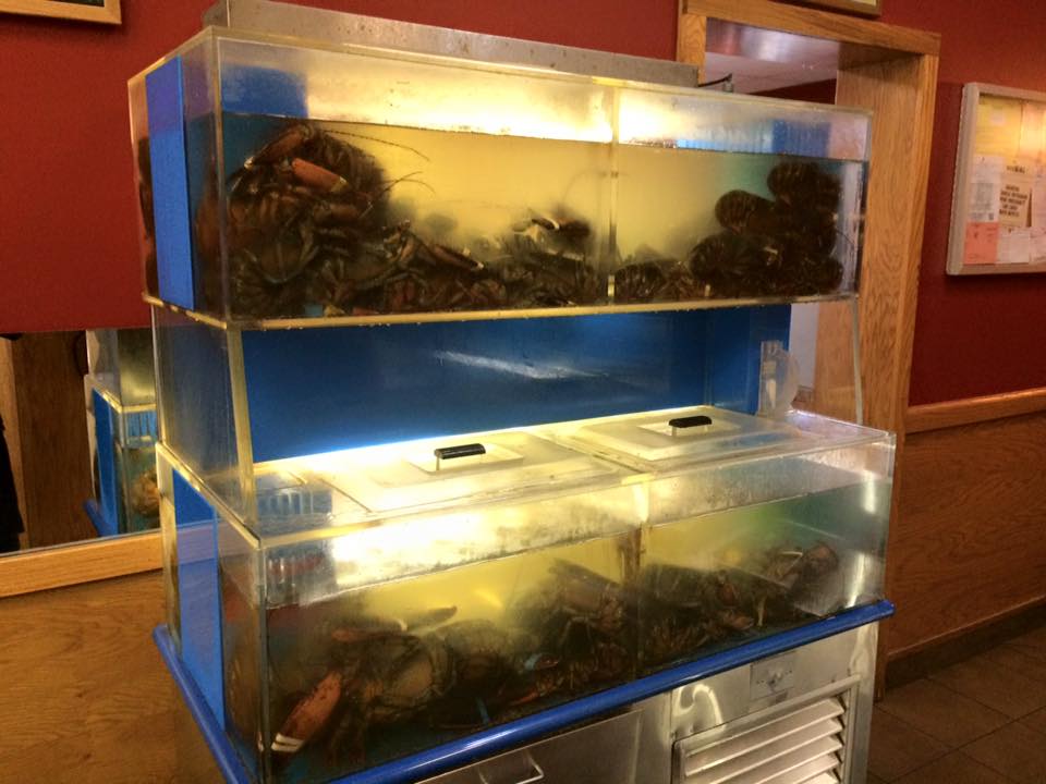 Bobby DoTube Lifestyle Blogger and Reviews Lobster House Joe's Staten