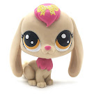 Littlest Pet Shop Lucky Pets Lucky Pets Fortune Crew Rabbit (#No#) Pet