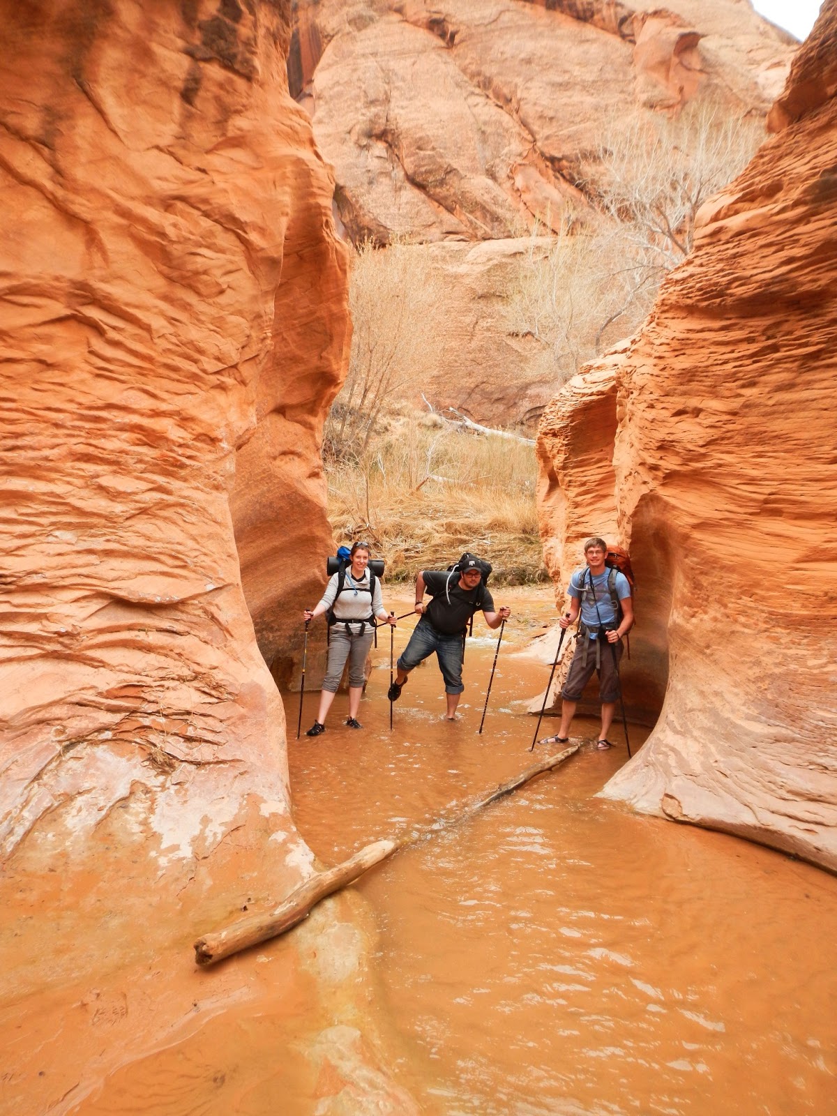 Everything For The Outdoors Backpacking in Coyote Gulch