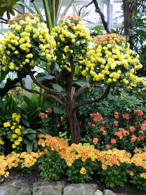 Chrysanthemum tree display at Allan Gardens Conservatory 2015 Chrysanthemum Show by garden muses-not another Toronto gardening blog