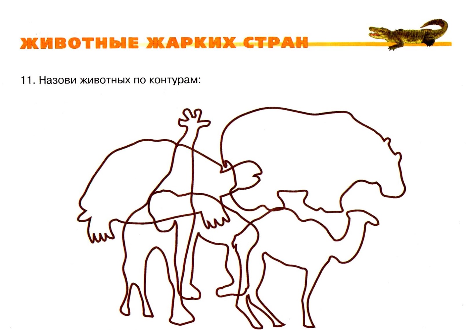 Животные жарких стран задания для дошкольников