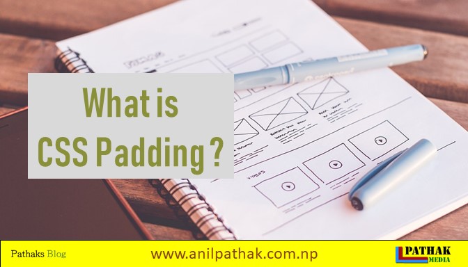 What is CSS Padding ? Do you think it is necessary ? [2020] Updated ...