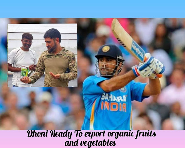 MS Dhoni Ready To Export Healthy Organic Food