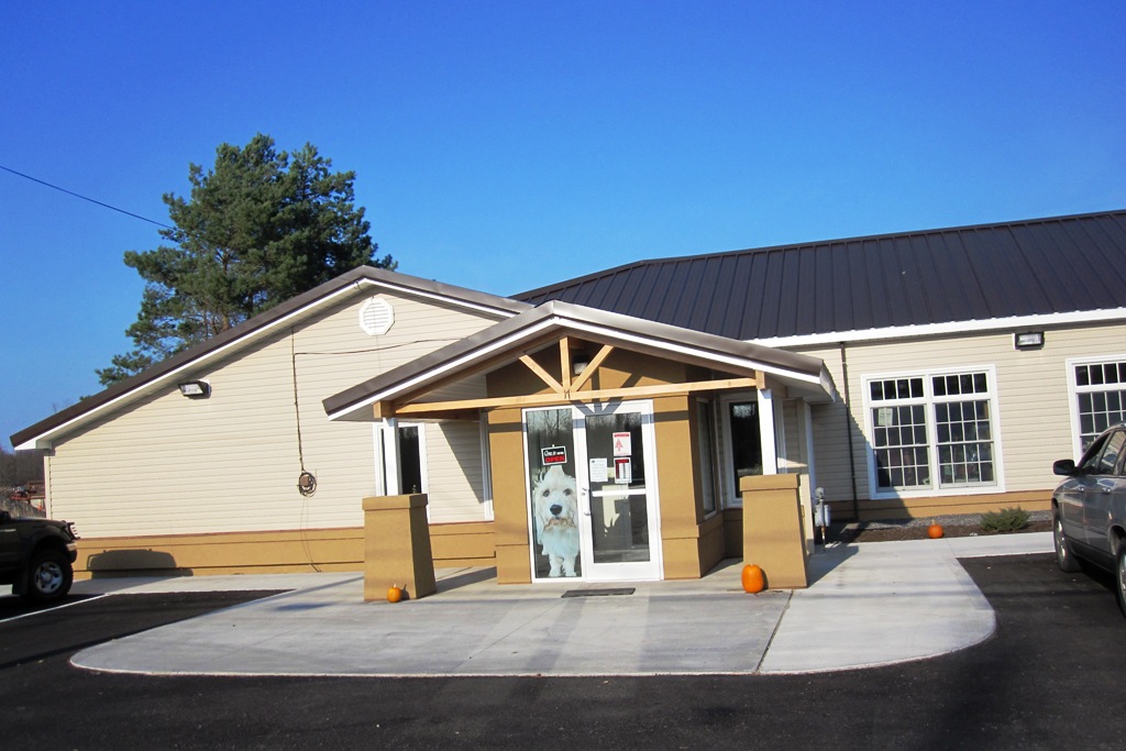 Windswept Adventure The Humane Society, Potsdam New York