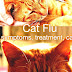 Cat Flu - Cat Flu Treatment
