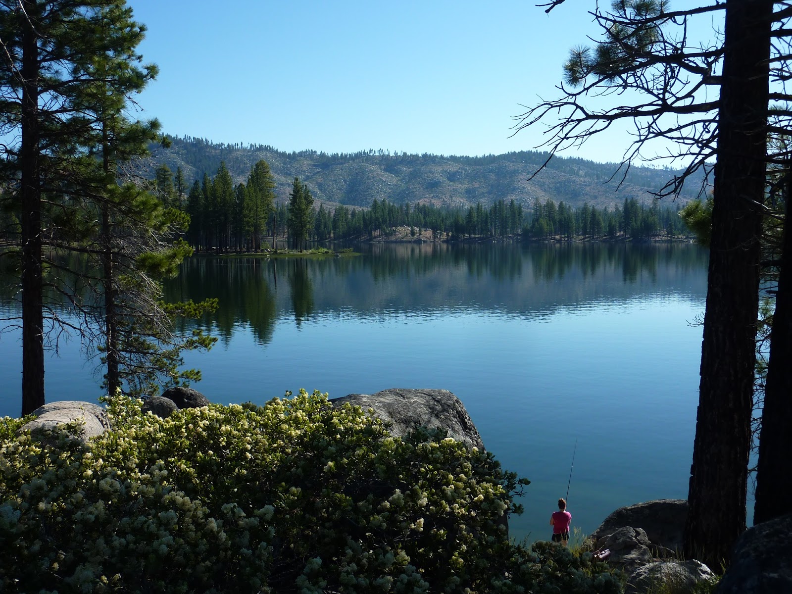 Travels of The Mercury California Coast 2015, Patrick's Point to