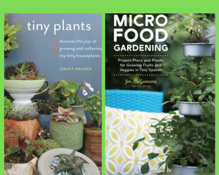 Micro Food Gardening and Tiny Plants books giveaway Micro Food Gardening and Tiny Plants books giveaway