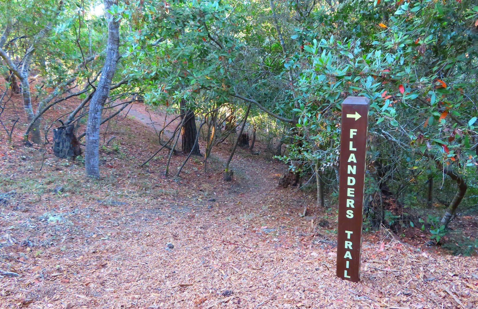 Carmel by the Sea Mission Ranch, Mission Trails Park, Mission Basilica