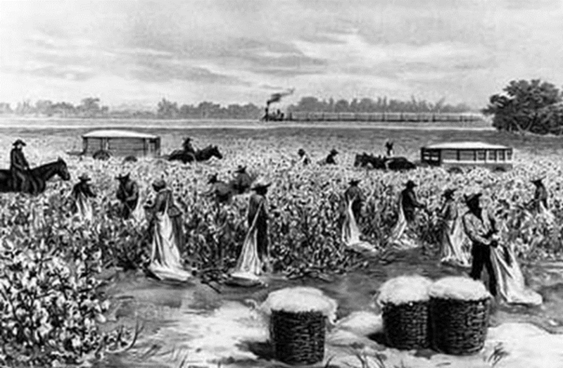 Demasiadas Noches Field Hollers (EEUU)