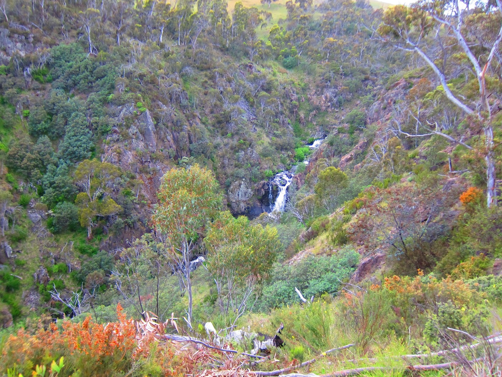 Chris & Darryl's Trips Suggan Buggan Day 37