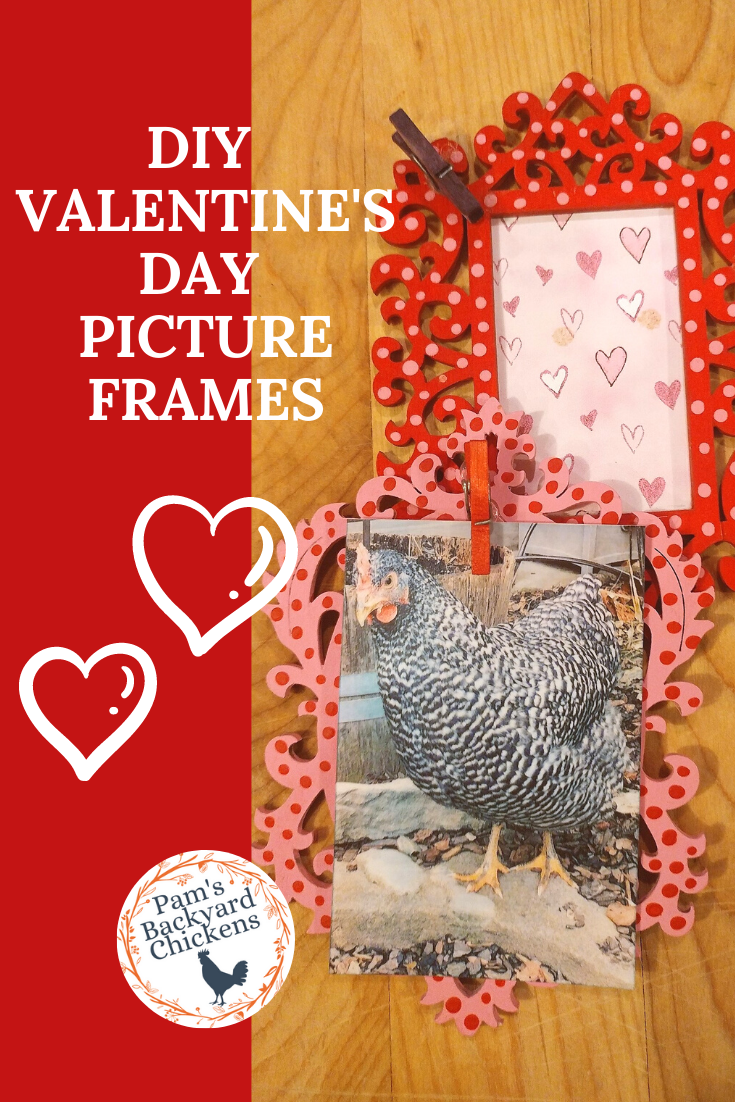 Pam's Backyard Chickens: DIY Magnetic Valentine's Picture Frames