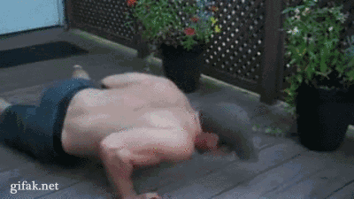 gif377070_223190361083331_10000177106300