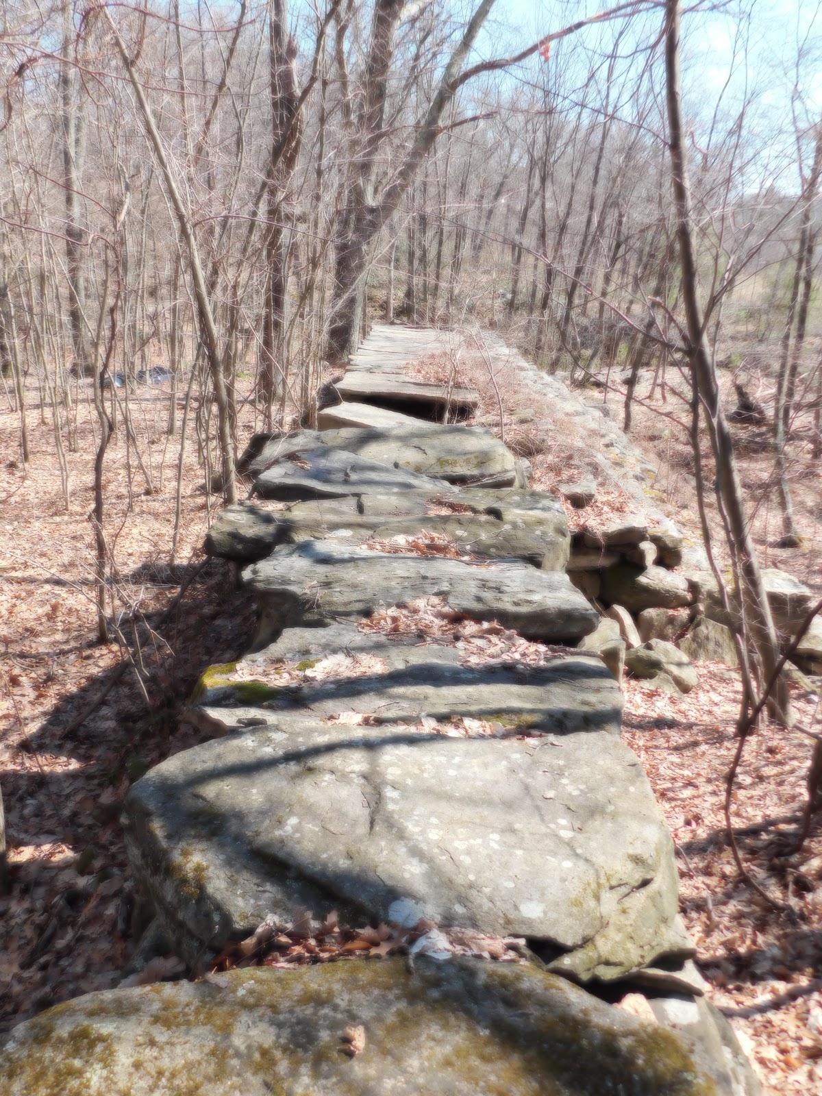 The Wayward Walker Kettle Brook Conservation Area