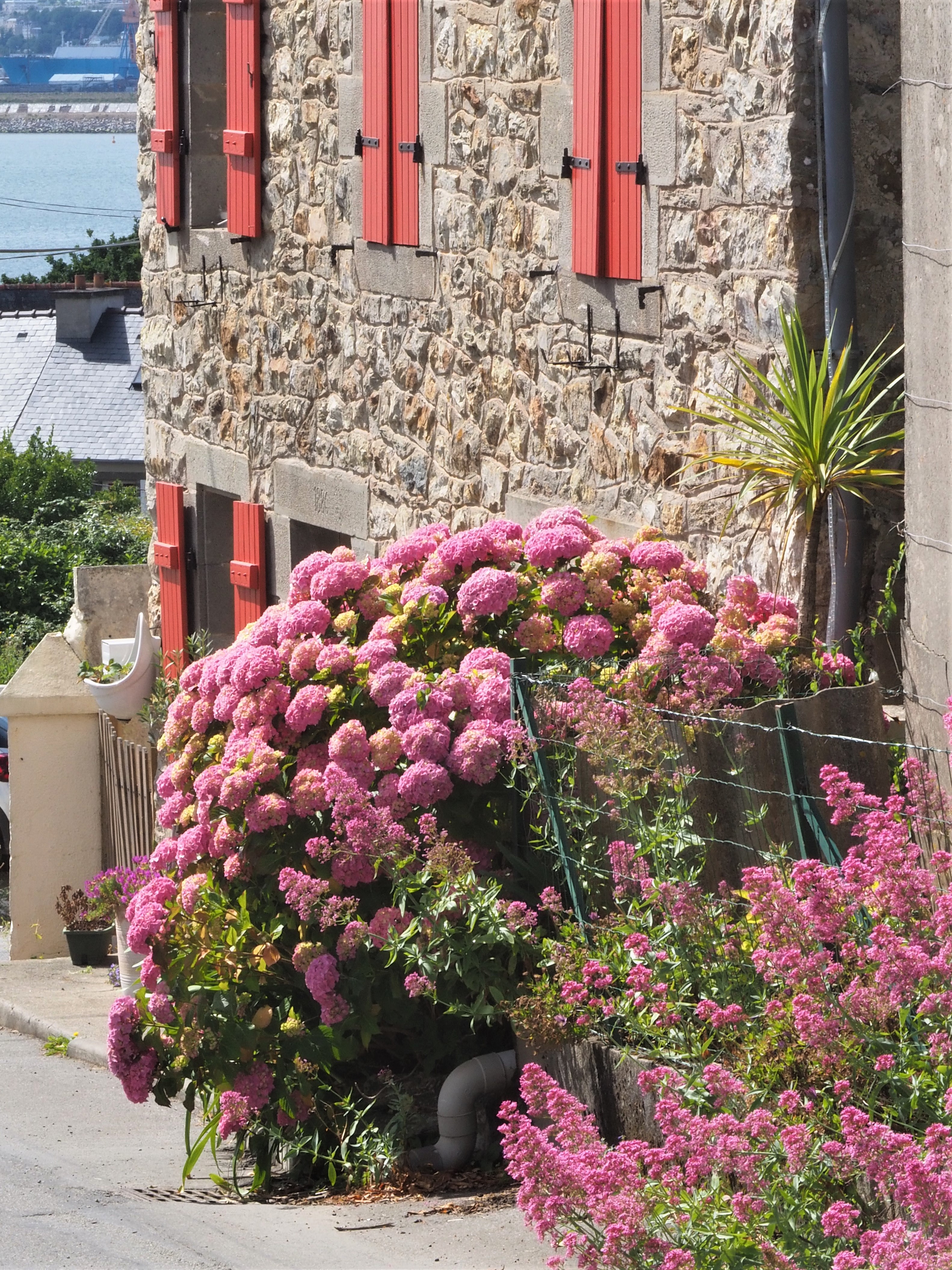 2 Dedos de Conversa Rade de Brest