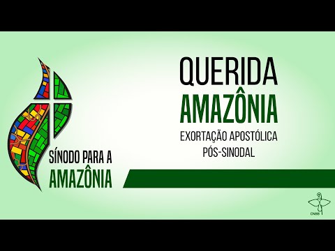 Exortação Apostólica Pós-Sinodal Querida ía