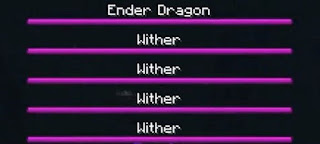ender dragon and wither fight