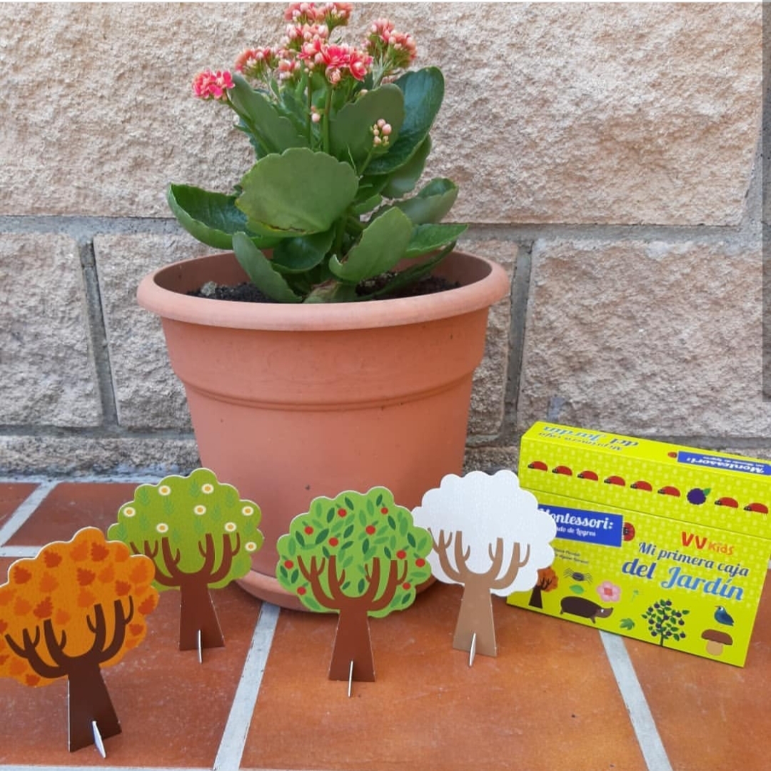 MI PRIMERA CAJA DEL JARDÍN