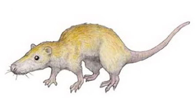 animales prehistoricos de Francia Sinoconodon