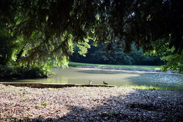 ville visitabili riviera del brenta