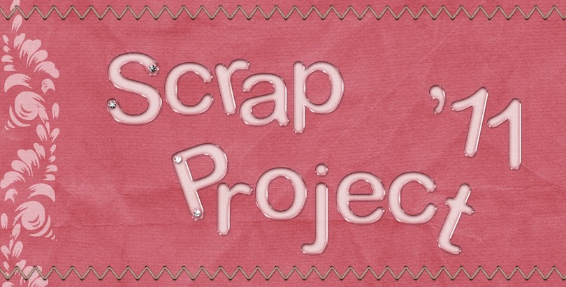 Scrap Project 2011