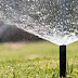 When should you water your yard? Check out the WaterMyYard resources.