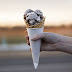 5.000 DÓLARES DE RECOMPENSA A QUIEN AYUDE A CAPTURAR A LADRONES DE HELADOS