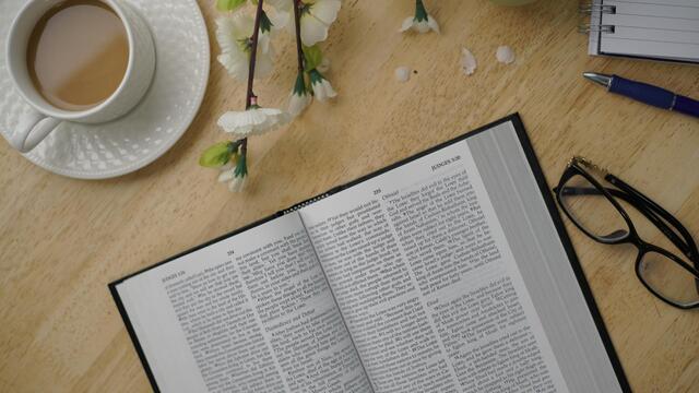 Bible Questions | the Bible