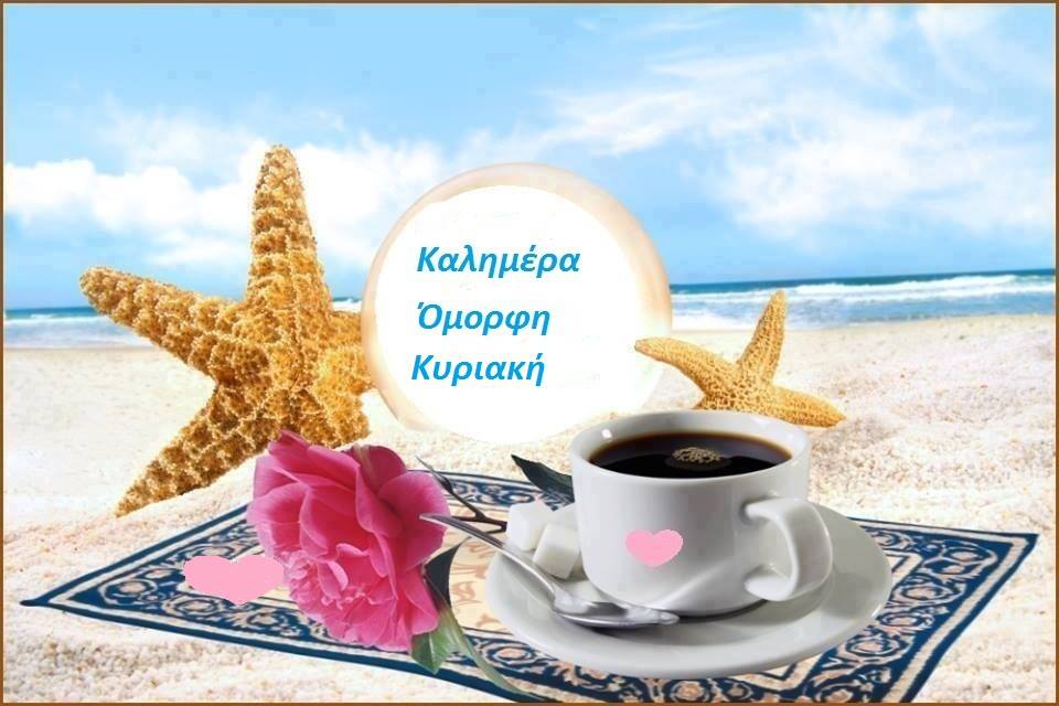 Добрый день на море Добрый день на море