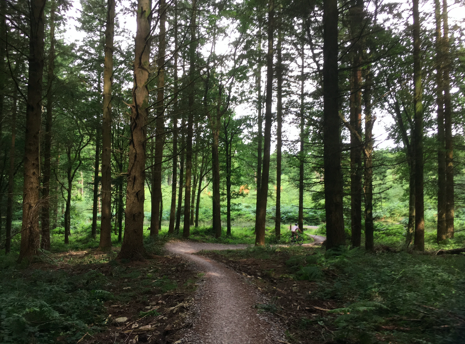 FitBits | Mountain biking in Wales | Llandegla FitBits | Mountain biking in Wales | Llandegla