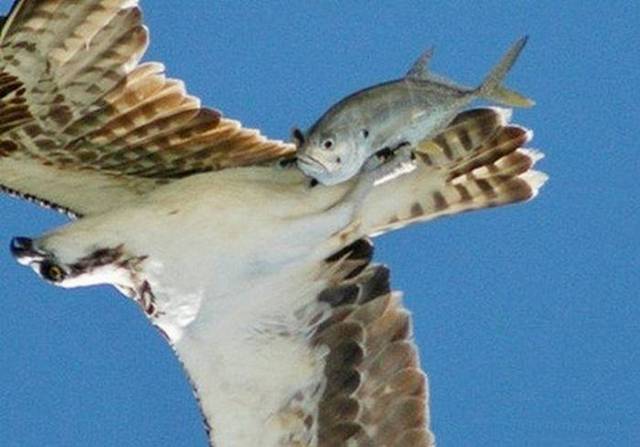 Ritemail+Picdump-034.jpg