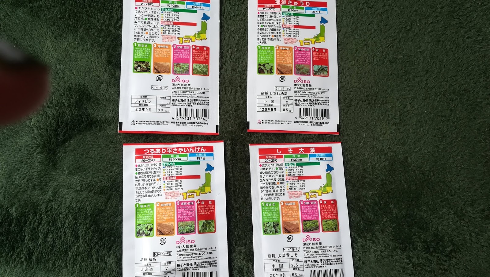 夏 まき 野菜 まき 野菜 夏