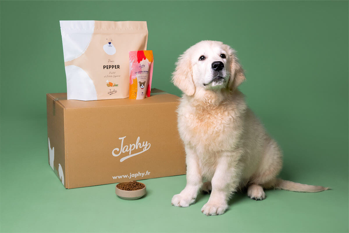 Berger Australien Chien de France