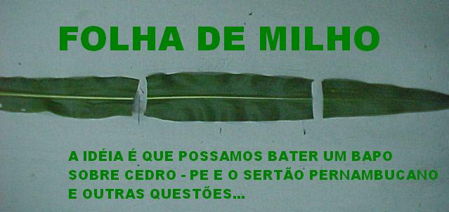 FOLHA DE MILHO