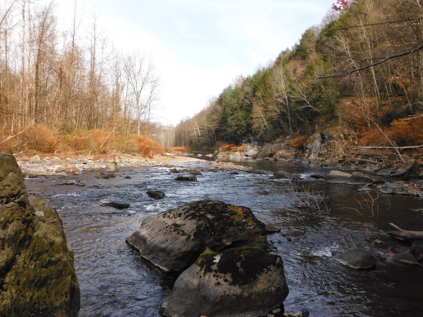 PA Environment Digest Blog Where In The Watershed Walk 9, Brodhead