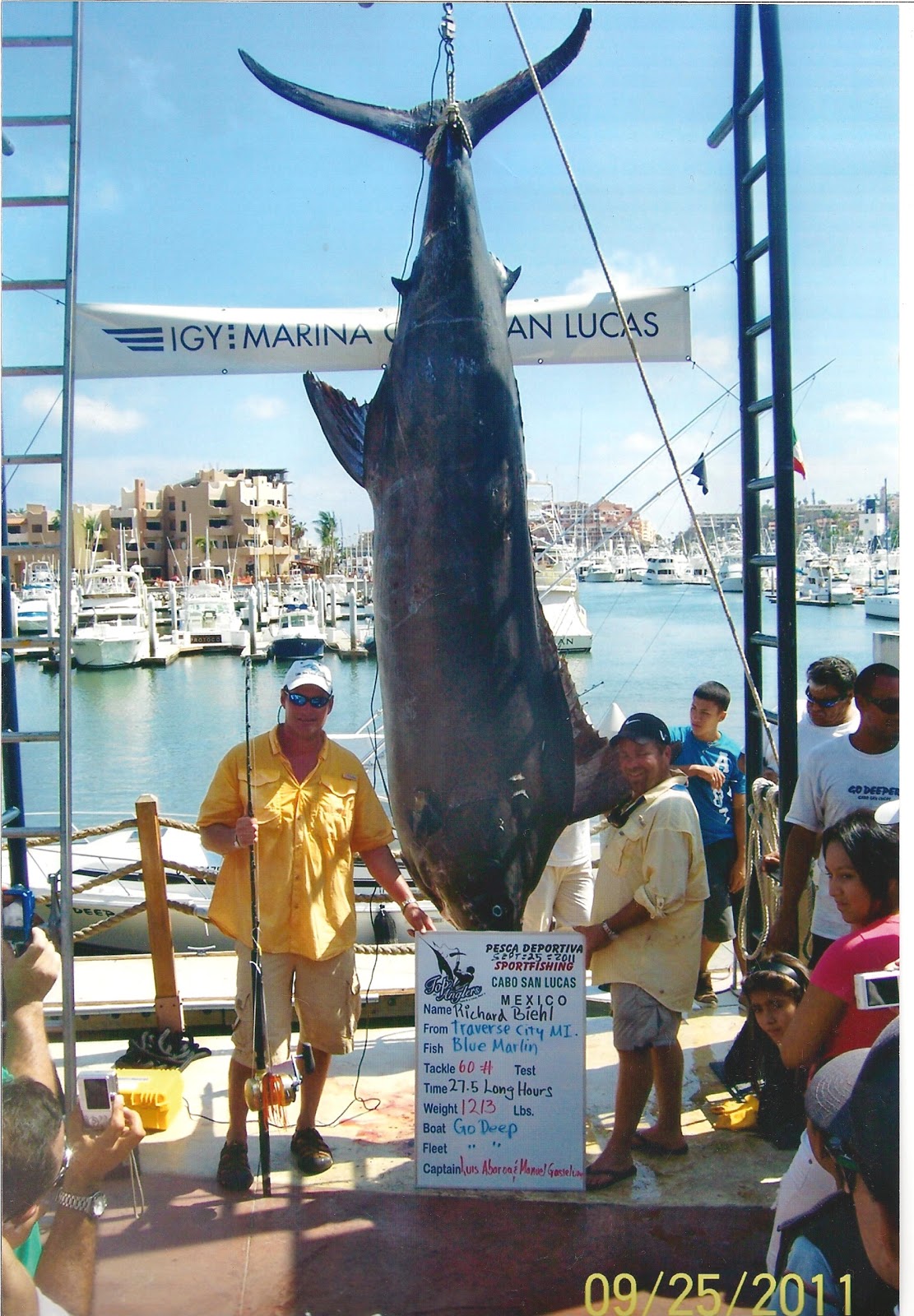 Pisces Fleet Sportfishing Blog: New Record in Cabo? Blue Marlin 1213 lbs!