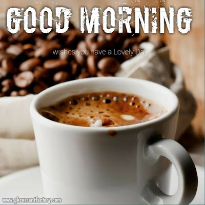 Beautiful Good Morning Coffee Images, Pics With Love Free Download Good Morning Coffee Images, Good Morning Coffee Pic, Good Morning Images Of coffee, Good Morning Images Coffee, Good Morning coffee Love, Good Morning Images With Hot Coffee Free Download