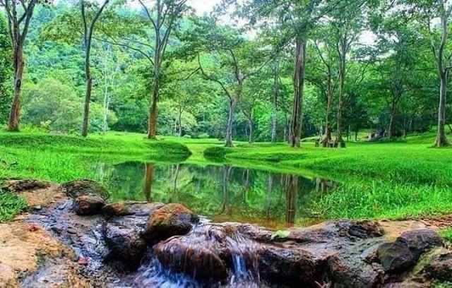 නිදහසේ ඉන්න සීතාවක Park යමුද? 🍃🎋🎋🌱❤️ ( Sithawaka Park ) - Your Choice Way