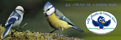 Le Jardin de l'Oiseau Bleu